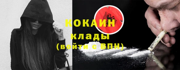индика Алексин