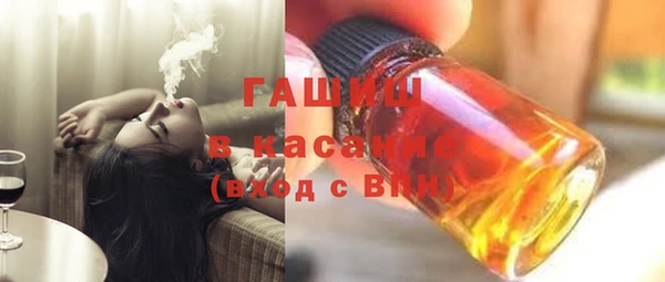 индика Алексин