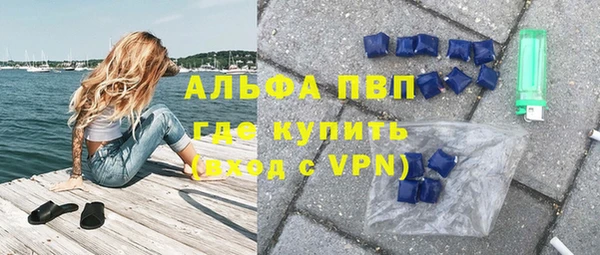 индика Алексин