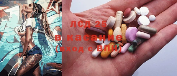 индика Алексин
