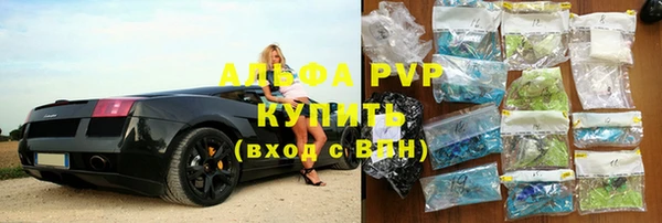 индика Алексин
