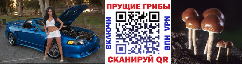 Псилоцибиновые грибы Magic Shrooms Купить закладки Великие Луки